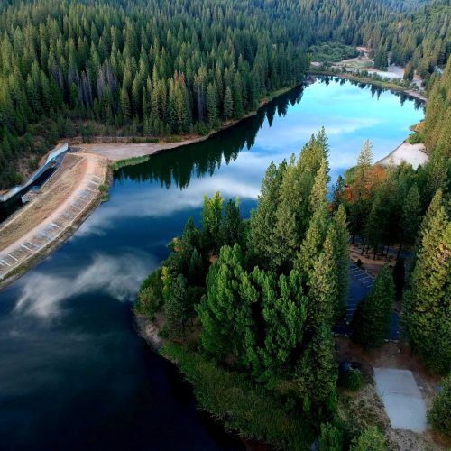 White Pines