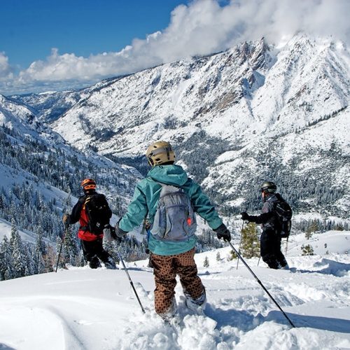 top-of-the-mountain-Bear-Valley-min